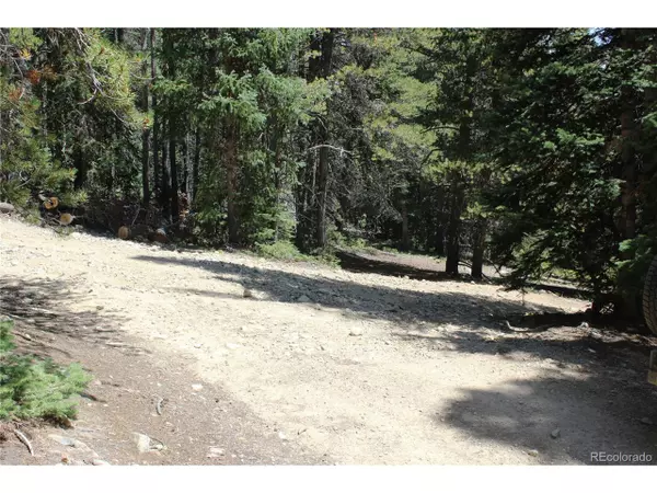 Black Hawk, CO 80422,630 FS  417.1