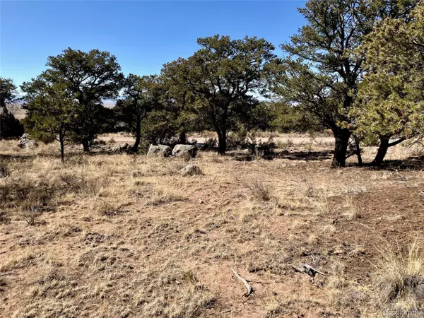 Crestone, CO 81131,251 Baca Grant Way