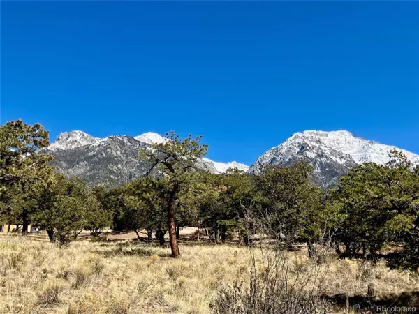 Crestone, CO 81131,251 Baca Grant Way