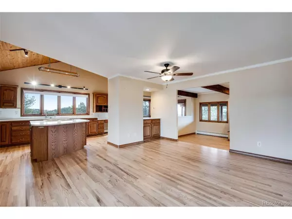 Pine, CO 80470,14803 Wandcrest Dr