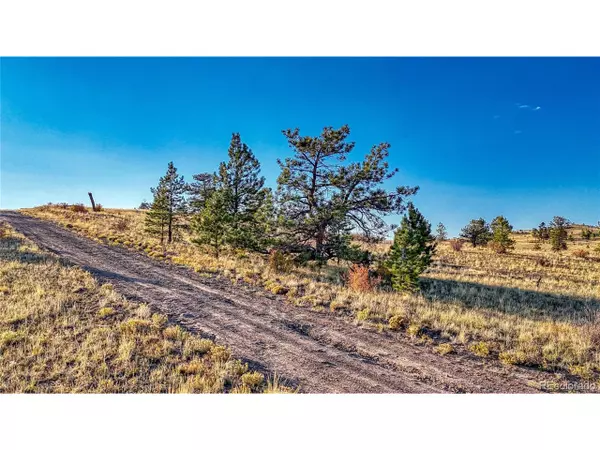 Hartsel, CO 80449,912 Chickamauga Trl