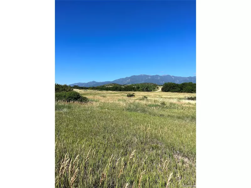 318 Bird Pl, Colorado City, CO 81019