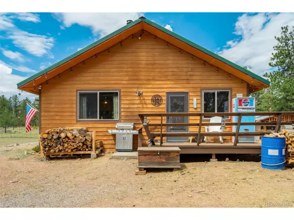 Guffey, CO 80820,141 Cabin Ln