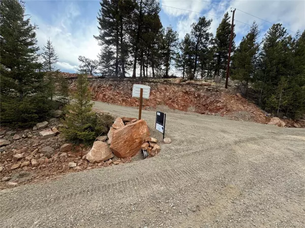 Fairplay, CO 80440,4513 Middle Fork Vis