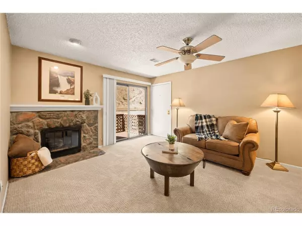 1890 Argentine St #303, Georgetown, CO 80444