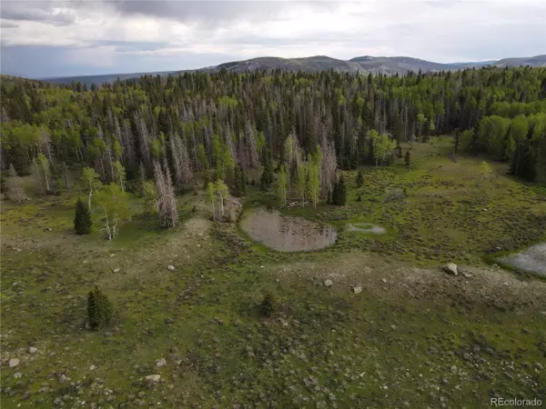 Vacant Land, Antonito, CO 81102