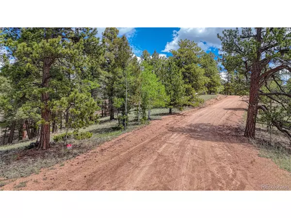 Florissant, CO 80816,26 N Eldorado Cir