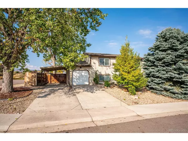 6453 S Johnson St, Littleton, CO 80123