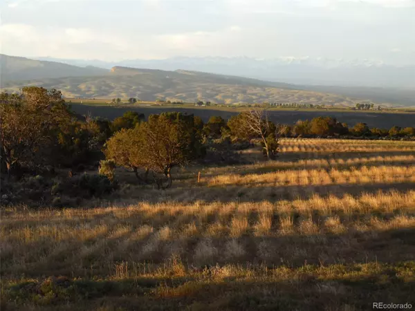 Pine Ridge Rd, Cedaredge, CO 81413