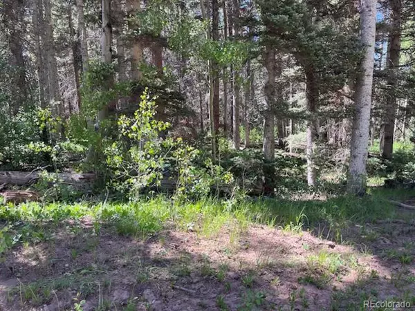 Fort Garland, CO 81133,2684 Coder Pl