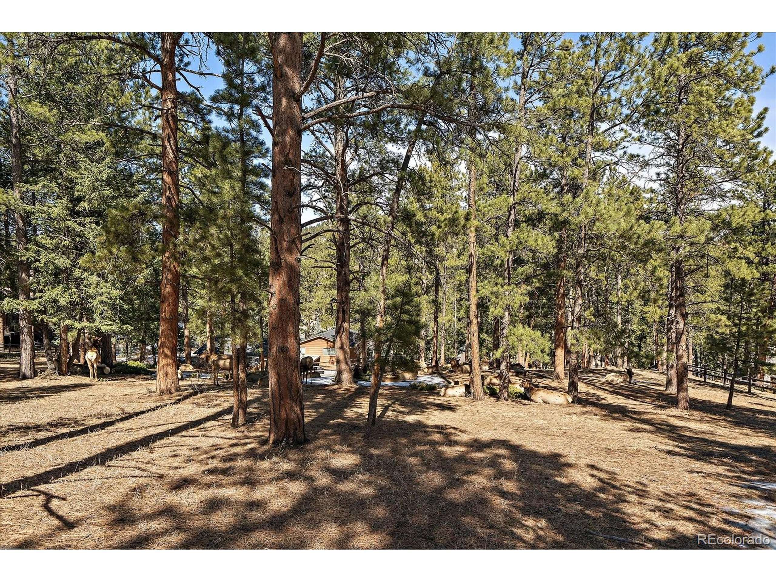 Evergreen, CO 80439,28539 Douglas Park Rd