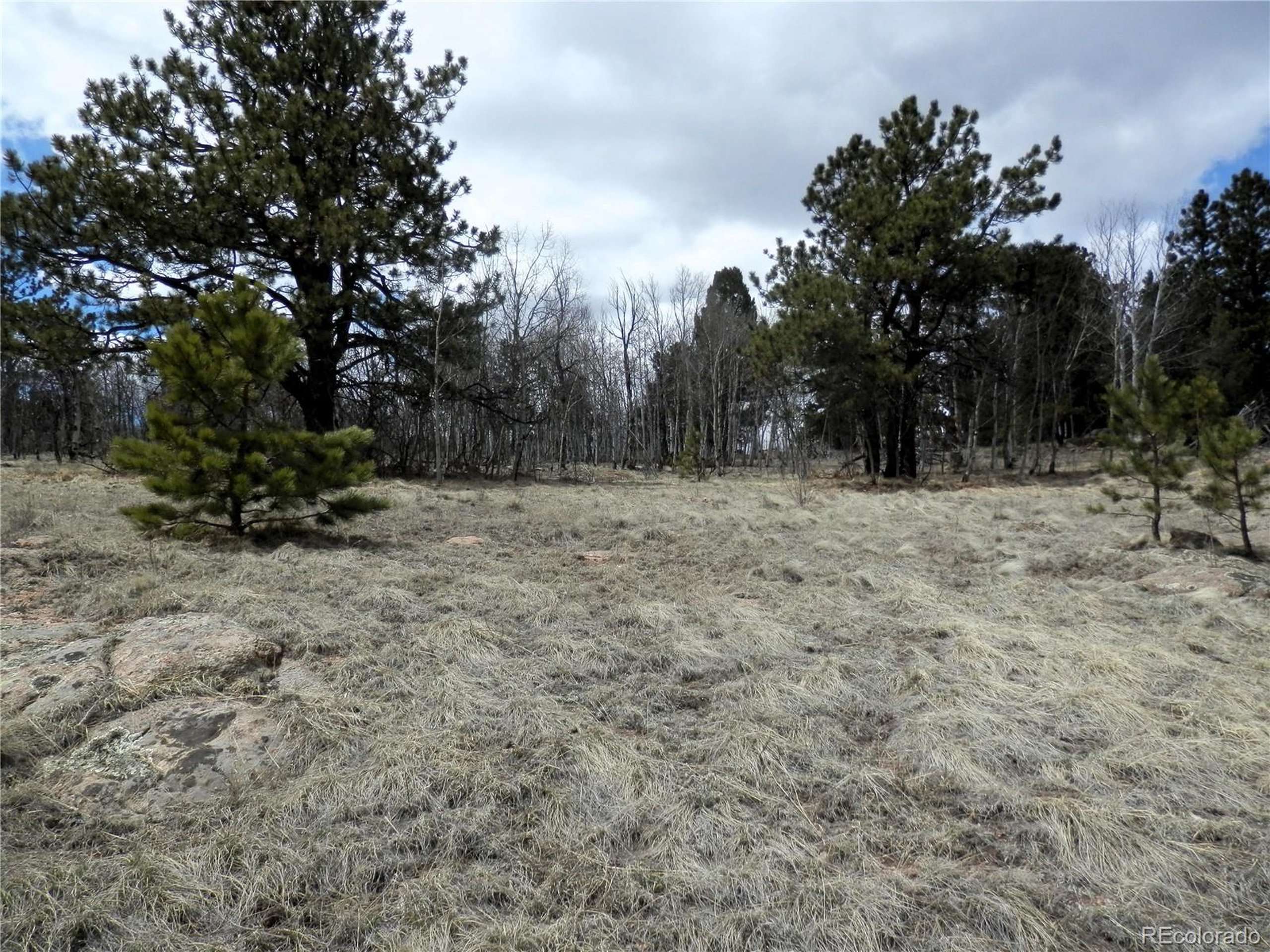 47 Hidden Valley Dr, Florissant, CO 80816