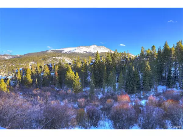 Breckenridge, CO 80424,965 Four Oclock Rd
