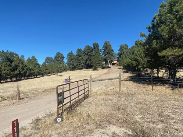 11981 Ponderosa Ln, Kiowa, CO 80117