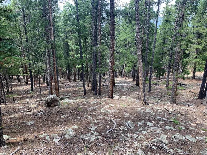 Evergreen Rd, Bailey, CO 80421