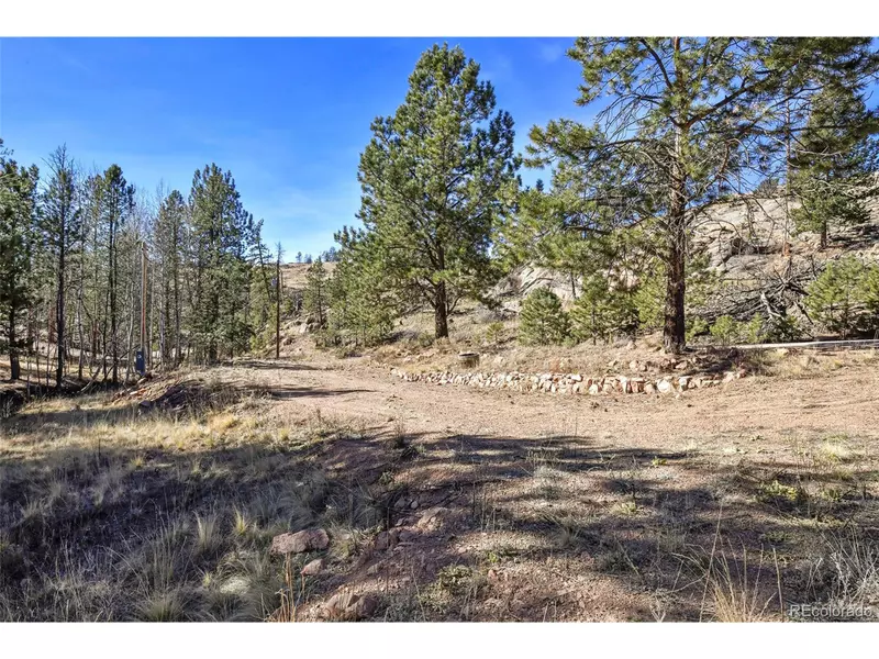 238 Chateau West Dr, Florissant, CO 80816