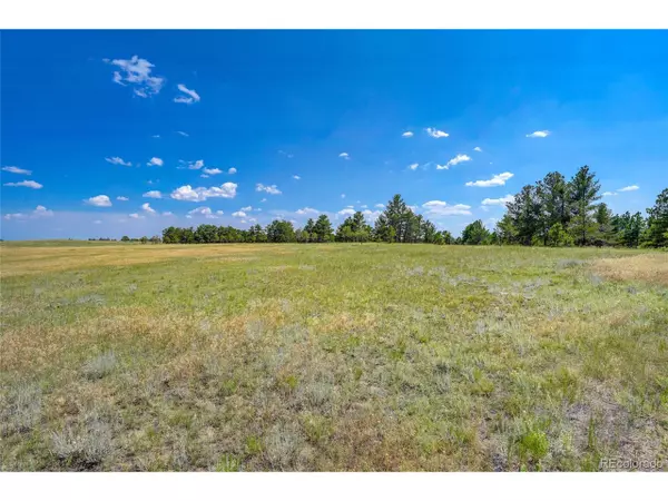 Agate, CO 80101,24400 High Timber Ln