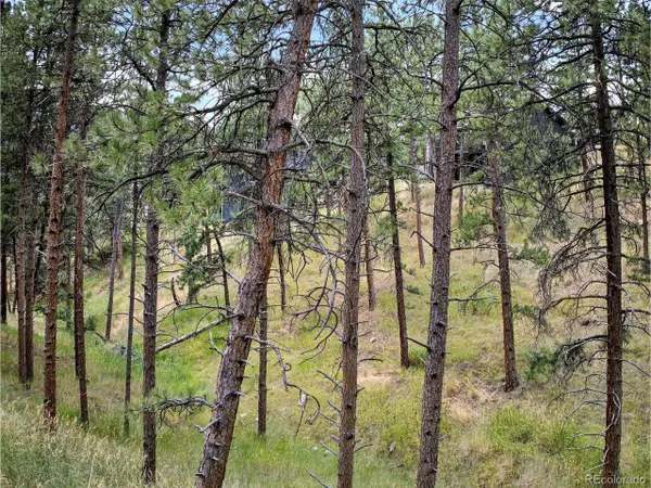 Evergreen, CO 80439,3144 Snow Trillium Way