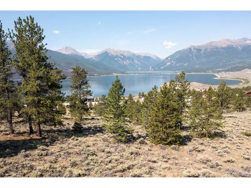 360 Reva Ridge Rd, Twin Lakes, CO 81251
