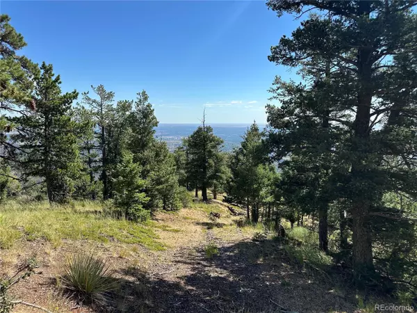 252 Grand Horizon, Manitou Springs, CO 80829