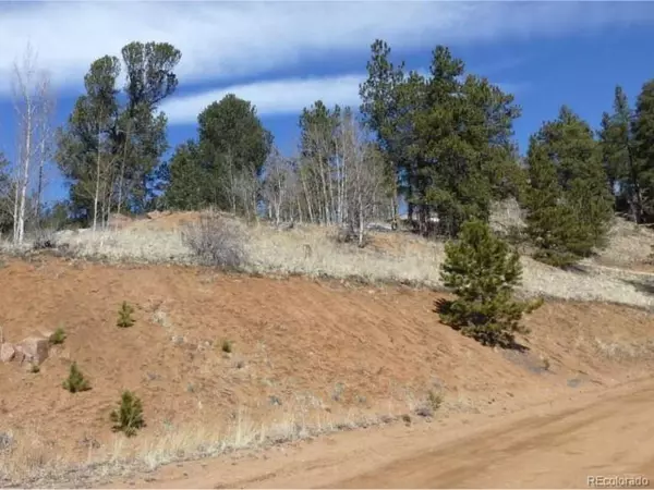 491 Oil Creek Dr, Divide, CO 80814