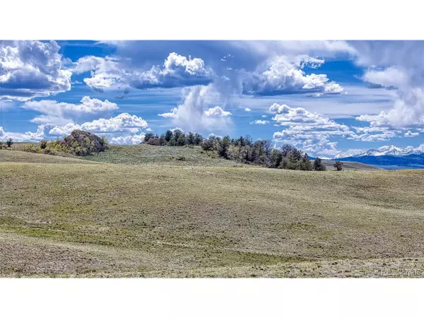 Hartsel, CO 80449,4662 Xtha Trl