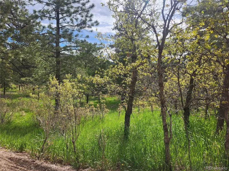Palmer Lake, CO 80133