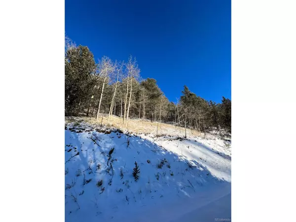 170 Valley Rd, Divide, CO 80814