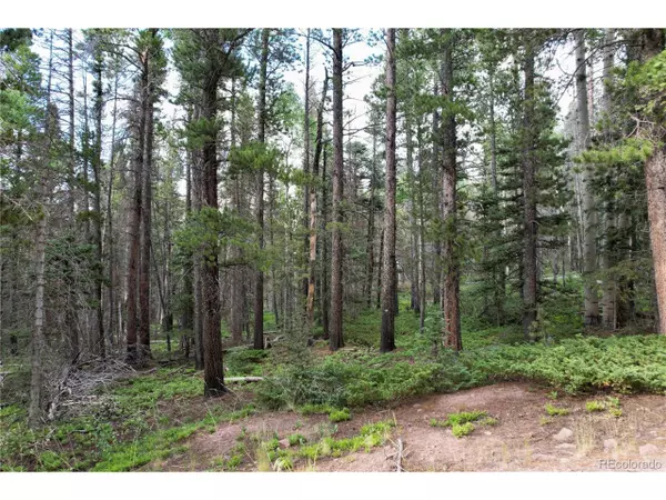 Fort Garland, CO 81133,3375 Purnell Ln