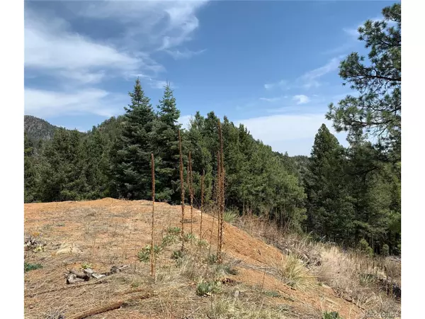 Colorado Springs, CO 80926,3435 Little Turkey Creek Rd