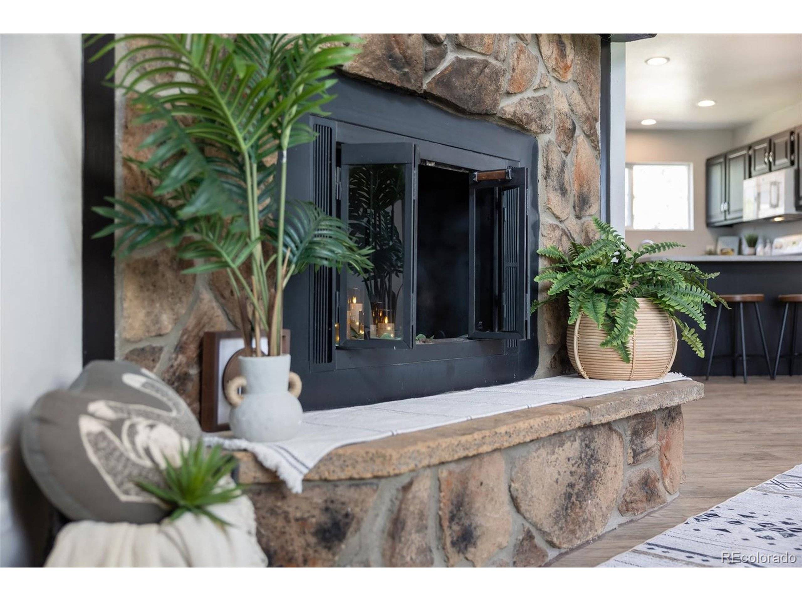Monument, CO 80132,1140 Magic Lamp Way #4