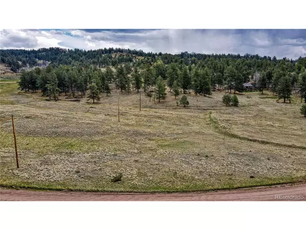 Florissant, CO 80816,188 High Pasture Rd
