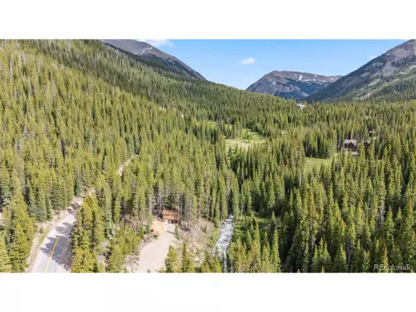 Montezuma, CO 80435,Address not disclosed