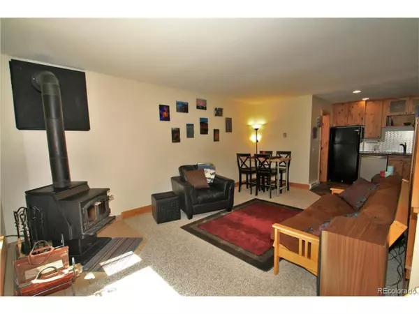 Breckenridge, CO 80424,221 S Fuller Placer Rd #3