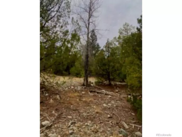 Mosca, CO 81146,Pawnee Ct