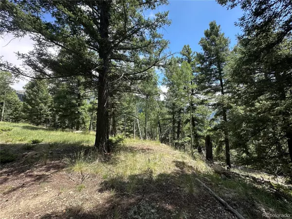Jasper, CO 81146,TBD Calkins