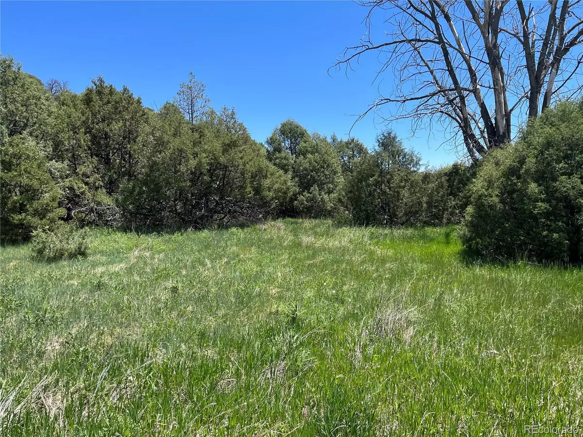 Trinidad, CO 81082,Address not disclosed