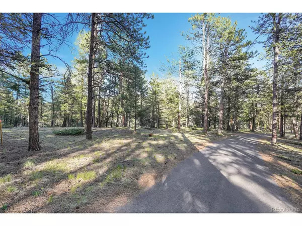 Conifer, CO 80433,Molly Dr, Lot #1