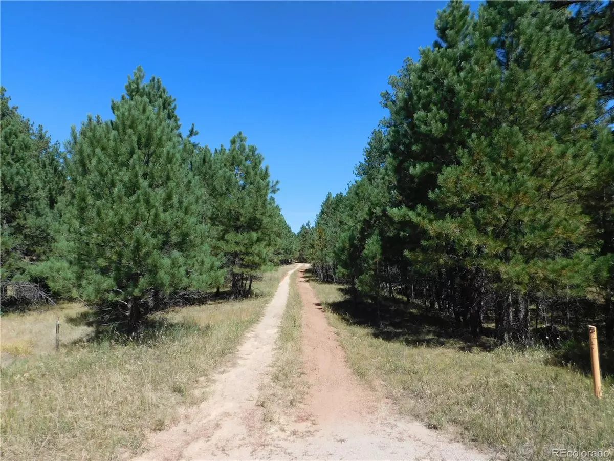 Larkspur, CO 80118,7170 Independence Ct