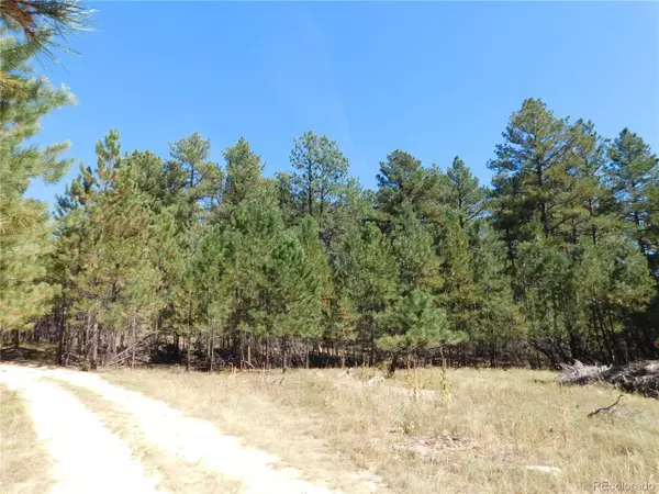 Larkspur, CO 80118,7170 Independence Ct