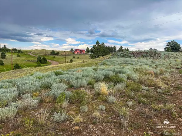 Florissant, CO 80816,252 Mcintyre Dr