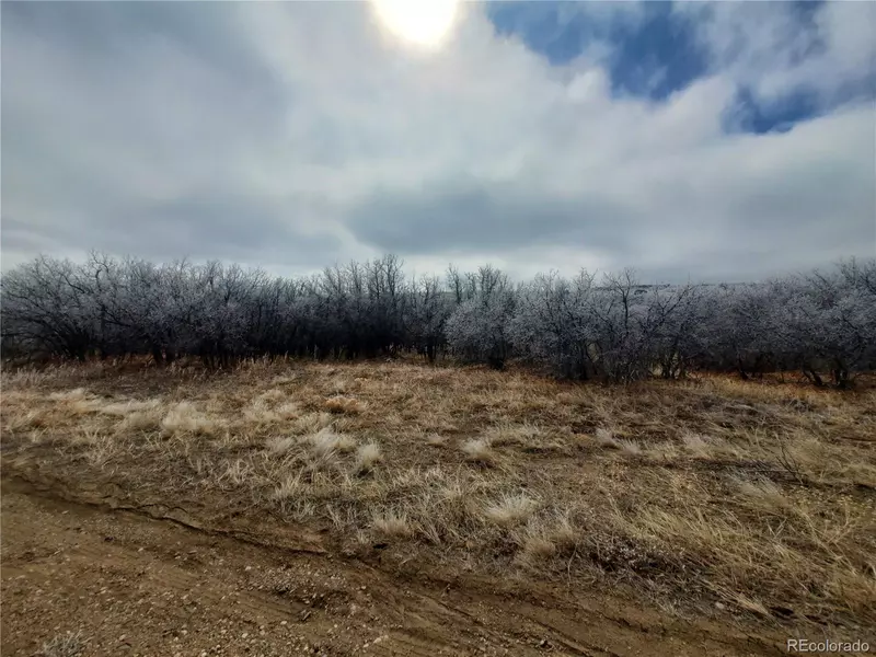 Thacker Rd, Colorado City, CO 81069