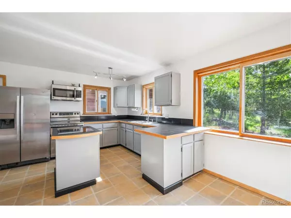 Bailey, CO 80421,429 Overlook Dr