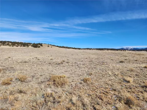 205 Cheyenne Trl, Hartsel, CO 80449