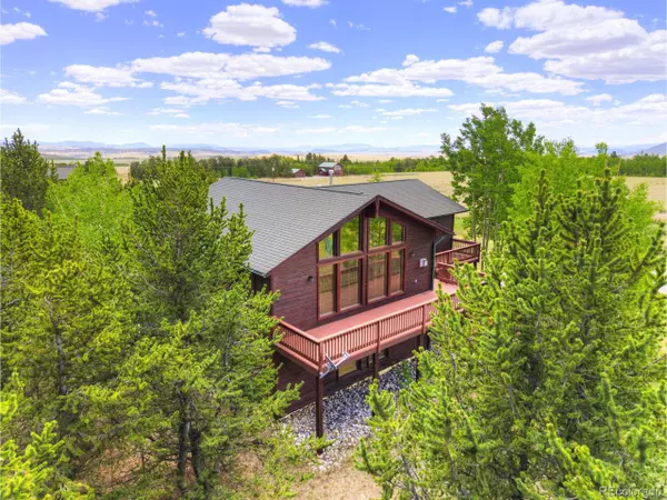 16 Thurber Ct, Fairplay, CO 80440