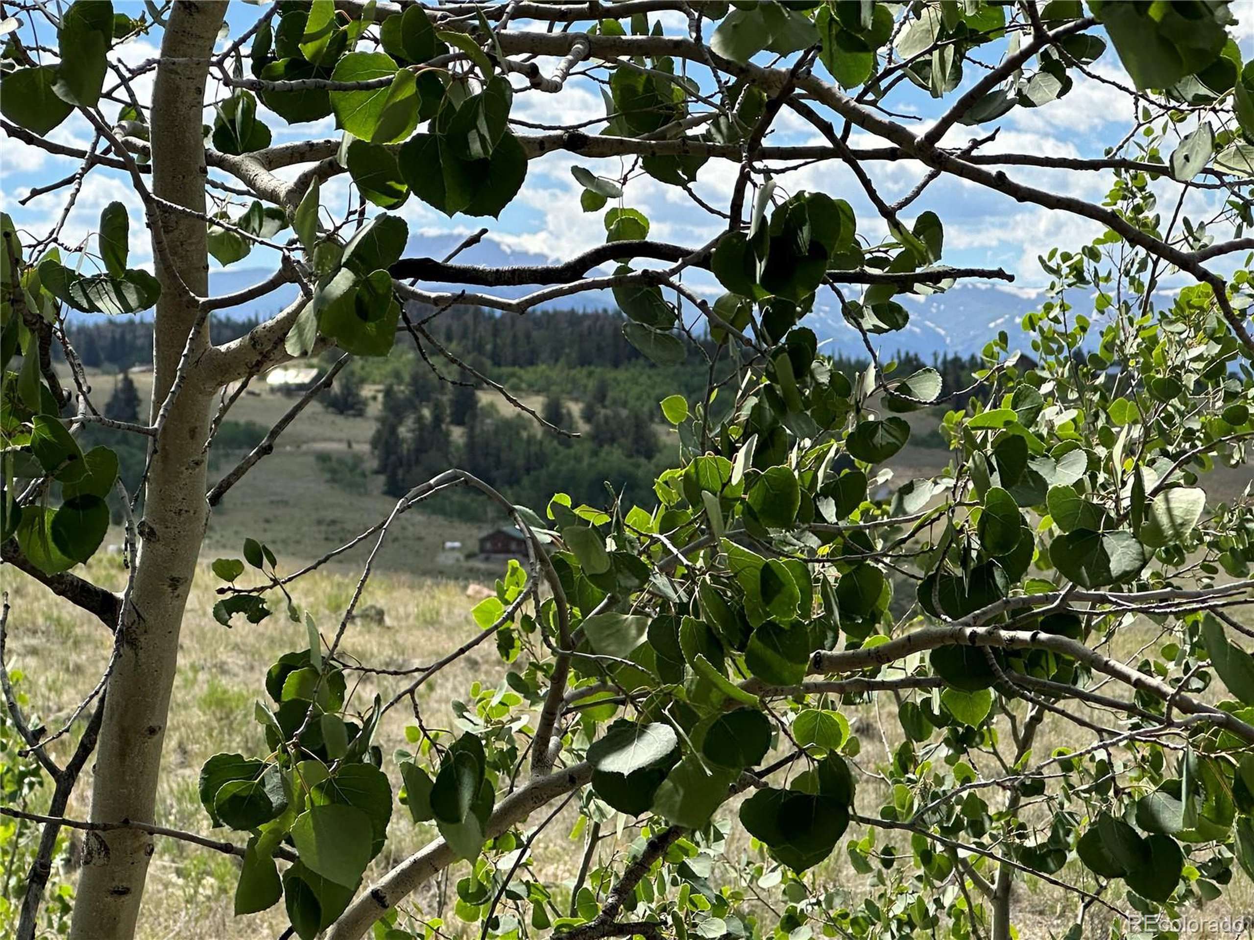 Jefferson, CO 80456,98 Wabeno Ct