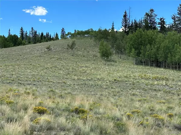 98 Wabeno Ct, Jefferson, CO 80456