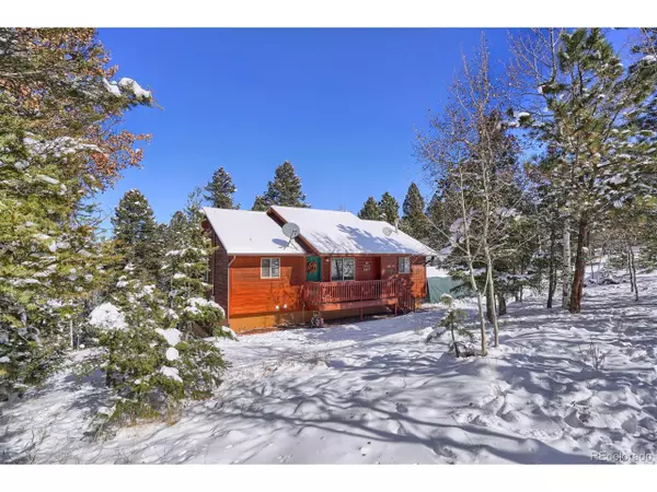 1053 Spring Creek Dr, Divide, CO 80814