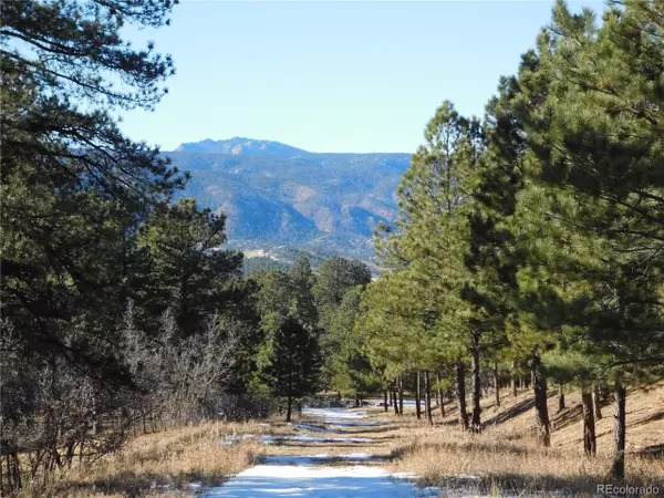 Larkspur, CO 80118,2329 Kinnikinnik Dr