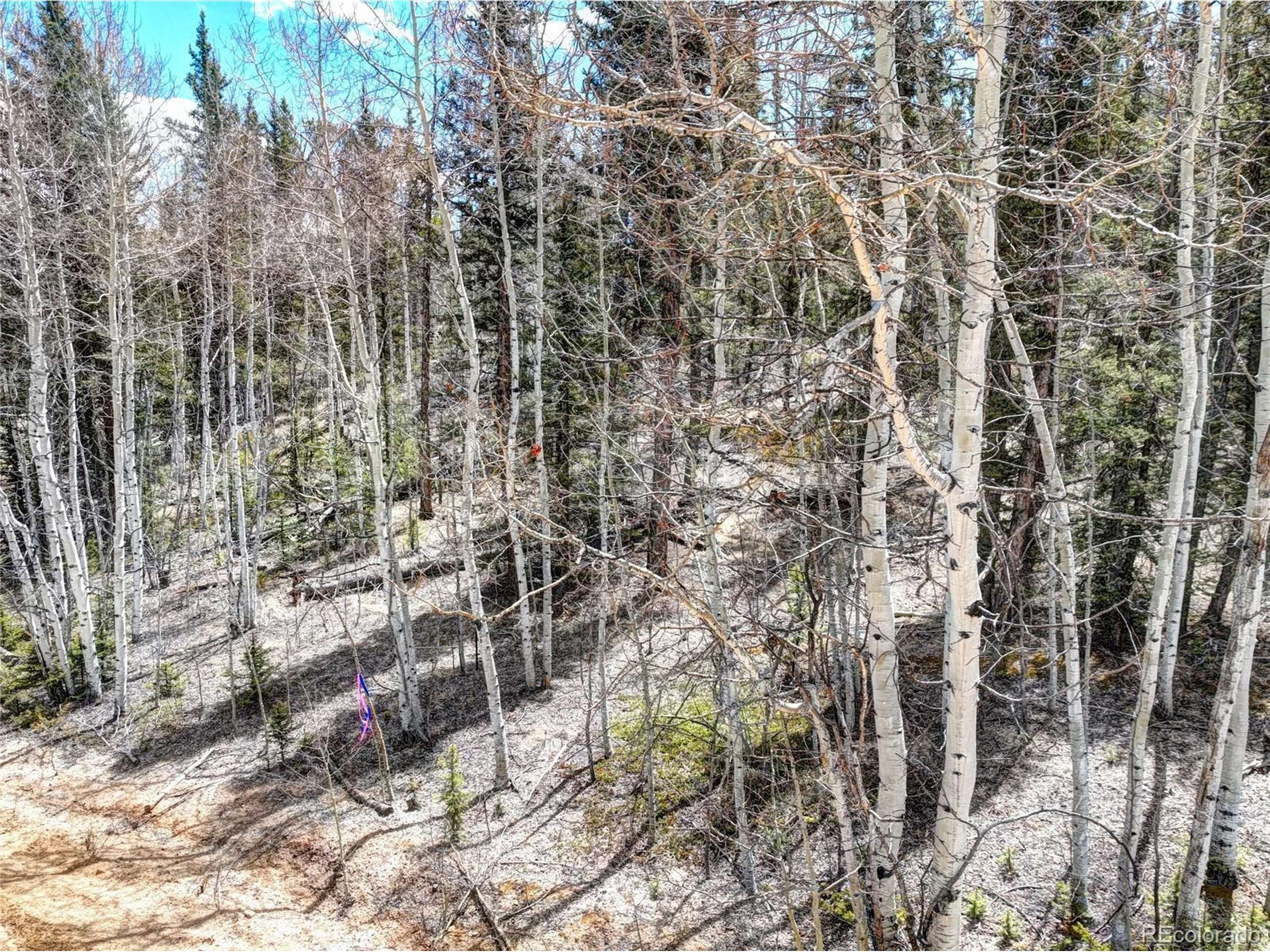 Como, CO 80432,220 Pepperbox Path